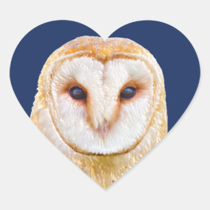 Liefde Hart Schuur Uil Vogel Dier Sticker