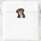 Liefde Havanese Puppy Dog Stickers Seal (Tas)