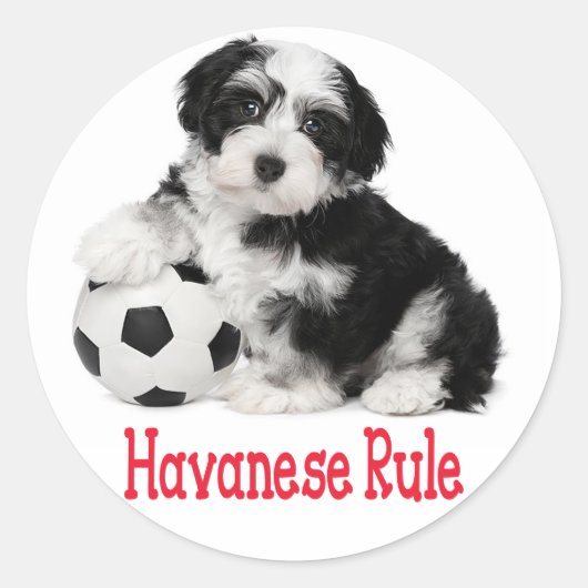 Liefde Havanese Puppy Dog Stickers Seal (Voorkant)