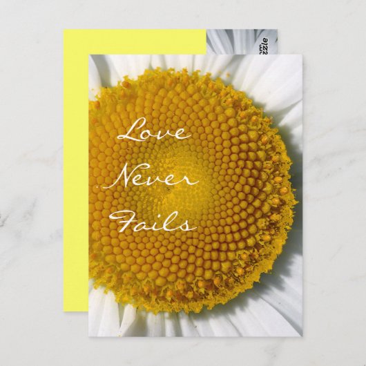 Liefde heeft nooit Daisy 1 Corinthians 13 gefaald Briefkaart (Voorkant / Achterkant)