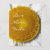 Liefde heeft nooit Daisy 1 Corinthians 13 gefaald Briefkaart (Voorkant)