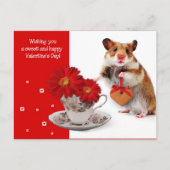 Liefde. Het Briefkaart van de Valentijnsdag van de (Voorkant)