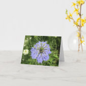 Liefde-in-a-mist (damascena Nigella) kaart (Gele Bloem)