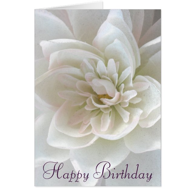 Liefde in Blossom_ (Voorkant)