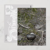 liefde in de natuur briefkaart (Voorkant / Achterkant)