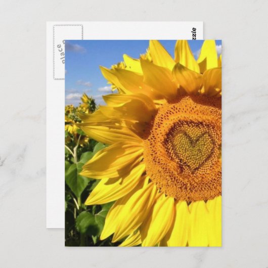 Liefde in de zon briefkaart (Voorkant / Achterkant)