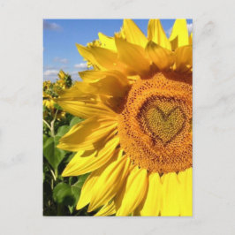 Liefde in de zon briefkaart