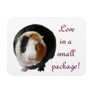 Liefde in een klein pakketje magneet