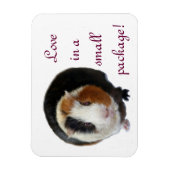 Liefde in een klein pakketje magneet (Verticaal)