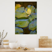 Liefde in een waterLily Poster (Keuken)