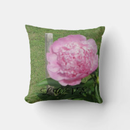 Liefde in het leven kussen