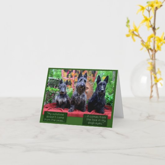 Liefde in hun ogen Kaart (Gele Bloem)