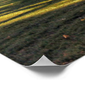 Liefde in Iowa Poster (Hoek)