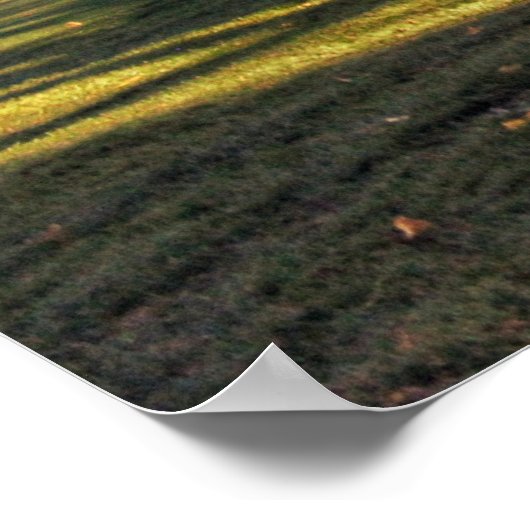 Liefde in Iowa Poster (Hoek)