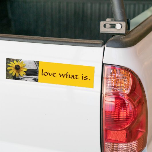 liefde is 2 bumpersticker (Op Truck)