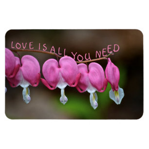 Liefde is alles wat je nodig hebt magneet