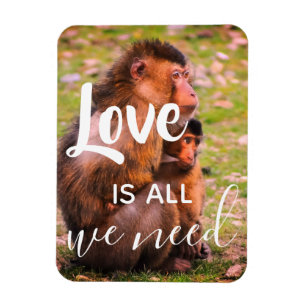 Liefde is alles wat we nodig hebben   Cute Animals Magneet