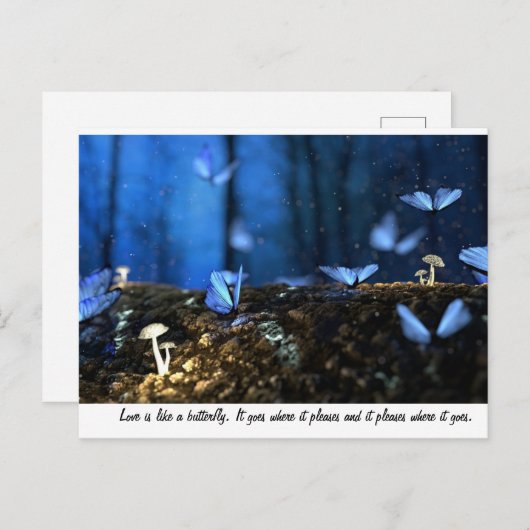 Liefde is als een vlinder briefkaart (Voorkant / Achterkant)