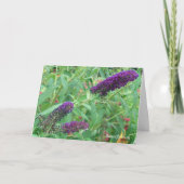 Liefde is als een Wenskaart van een boterfote. Kaart (Voorkant)