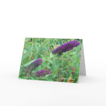 Liefde is als een Wenskaart van een boterfote.