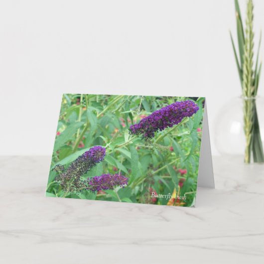 Liefde is als een Wenskaart van een boterfote. Kaart (Voorkant)