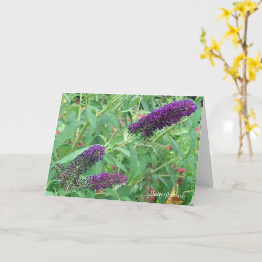 Liefde is als een Wenskaart van een boterfote. Kaart (Gele Bloem)