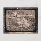 Liefde is blind, vriendschap sluit zijn ogen. briefkaart (Voorkant)