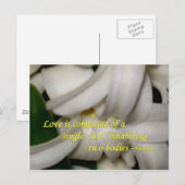 Liefde is briefkaart (Voorkant / Achterkant)