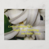 Liefde is briefkaart (Voorkant)