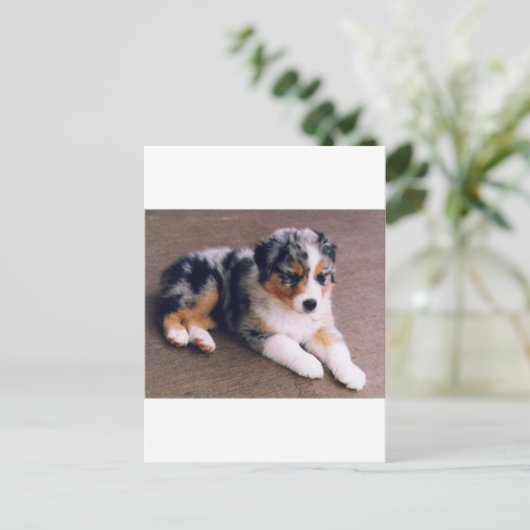 Liefde is, briefkaart (Staand voorkant)