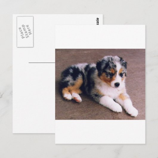 Liefde is, briefkaart (Voorkant / Achterkant)