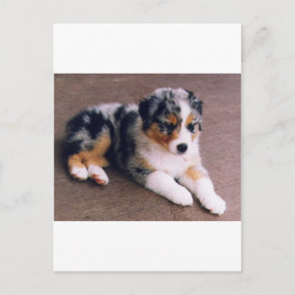 Liefde is, briefkaart