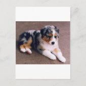 Liefde is, briefkaart (Voorkant)