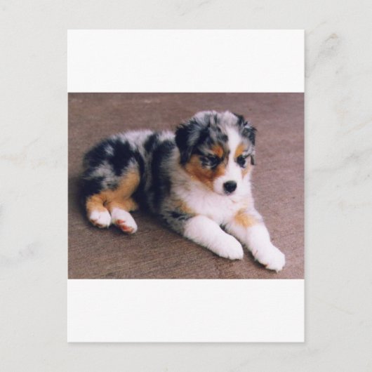 Liefde is, briefkaart (Voorkant)