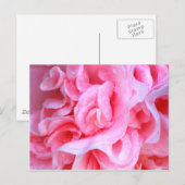 Liefde is_ briefkaart (Voorkant / Achterkant)