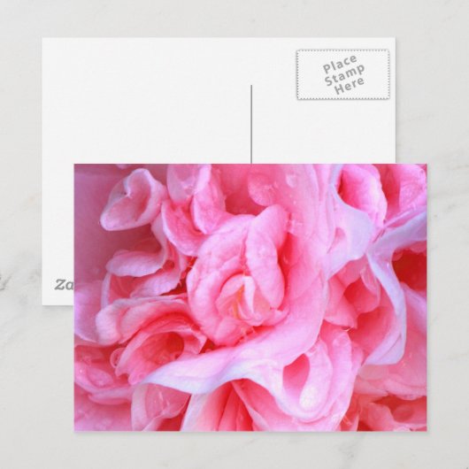 Liefde is_ briefkaart (Voorkant / Achterkant)