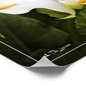 Liefde is de enige bloem poster (Hoek)