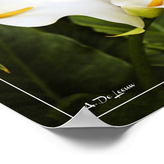 Liefde is de enige bloem poster (Hoek)