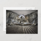 liefde is ... delen briefkaart (Voorkant / Achterkant)