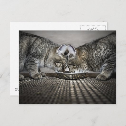 liefde is ... delen briefkaart (Voorkant / Achterkant)