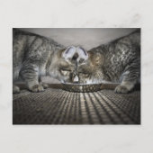 liefde is ... delen briefkaart (Voorkant)