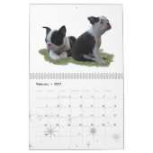 Liefde is een Boston Kalender (Feb 2027)