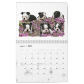 Liefde is een Boston Kalender (Mar 2027)