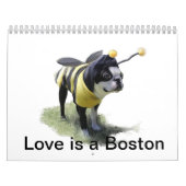 Liefde is een Boston Kalender (Hoes)