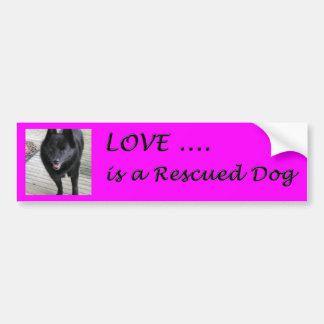 Liefde is een gered hond bumpersticker