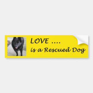 Liefde is een gered hond bumpersticker