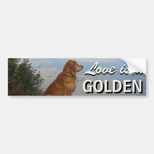 Liefde is een gouden repetiever bumpersticker (Voorkant)