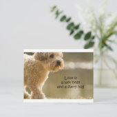 Liefde is een natte neus en een drijfmest briefkaart (Staand voorkant)