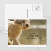 Liefde is een natte neus en een drijfmest briefkaart (Voorkant / Achterkant)