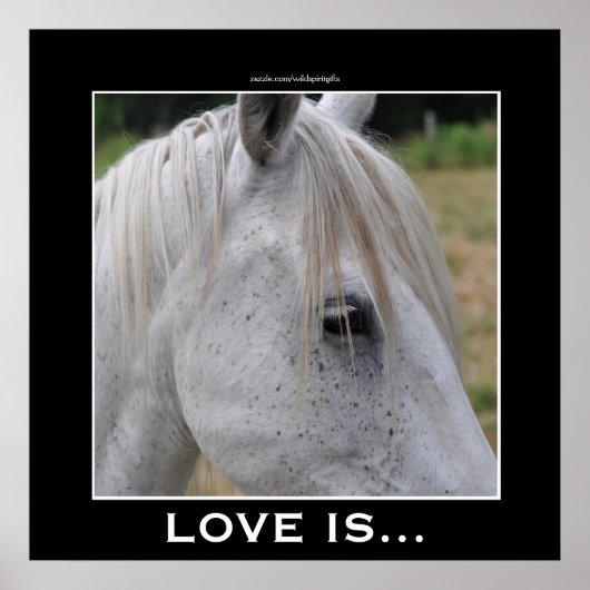 Liefde is... Een prachtig wit paard foto cadeau Poster (Voorkant)